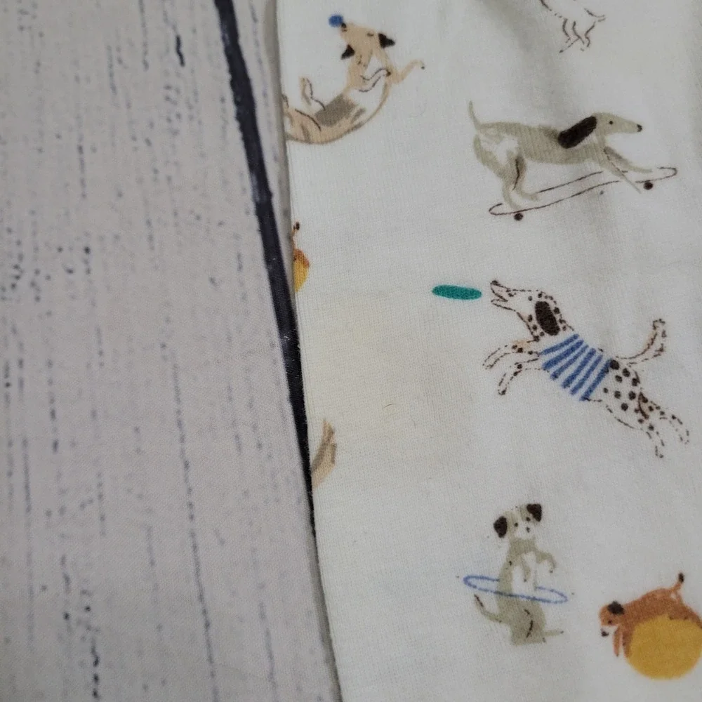 Hanna Andersson Magnetic Me 2T Pajama Sets Toddler Boys Organic Cotton Animal